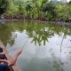 Digelar di Wisata Desa, Ragam Kegiatan untuk Promosi Wisata agar Dikenal Masyarakat Luas