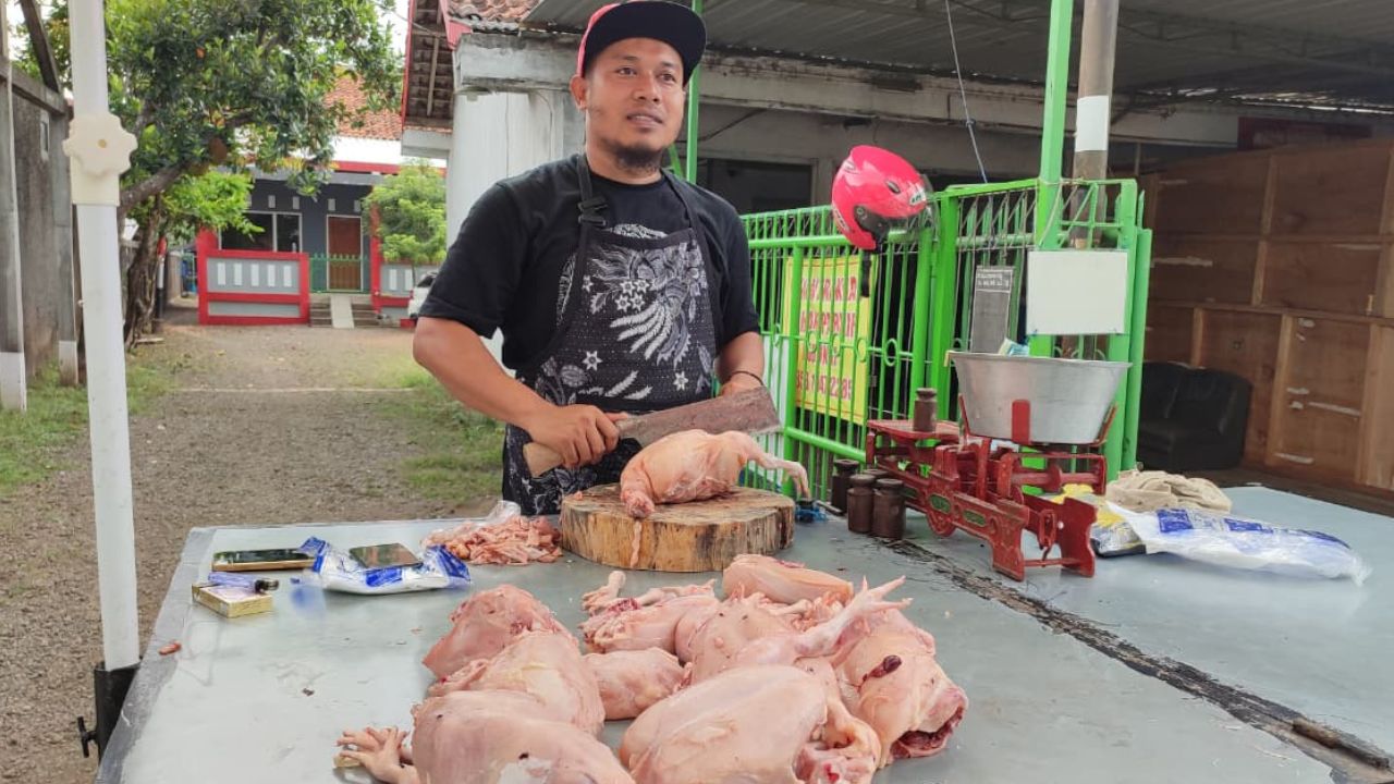 Harga Ayam Potong di Purworejo Tembus Rp40 Ribu, Penjualan Anjlok