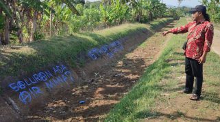 Belasan Tahun Air Irigasi di Purworejo Tak Mengalir, Petani 8 Desa Pasrah Hadapi Kekeringan