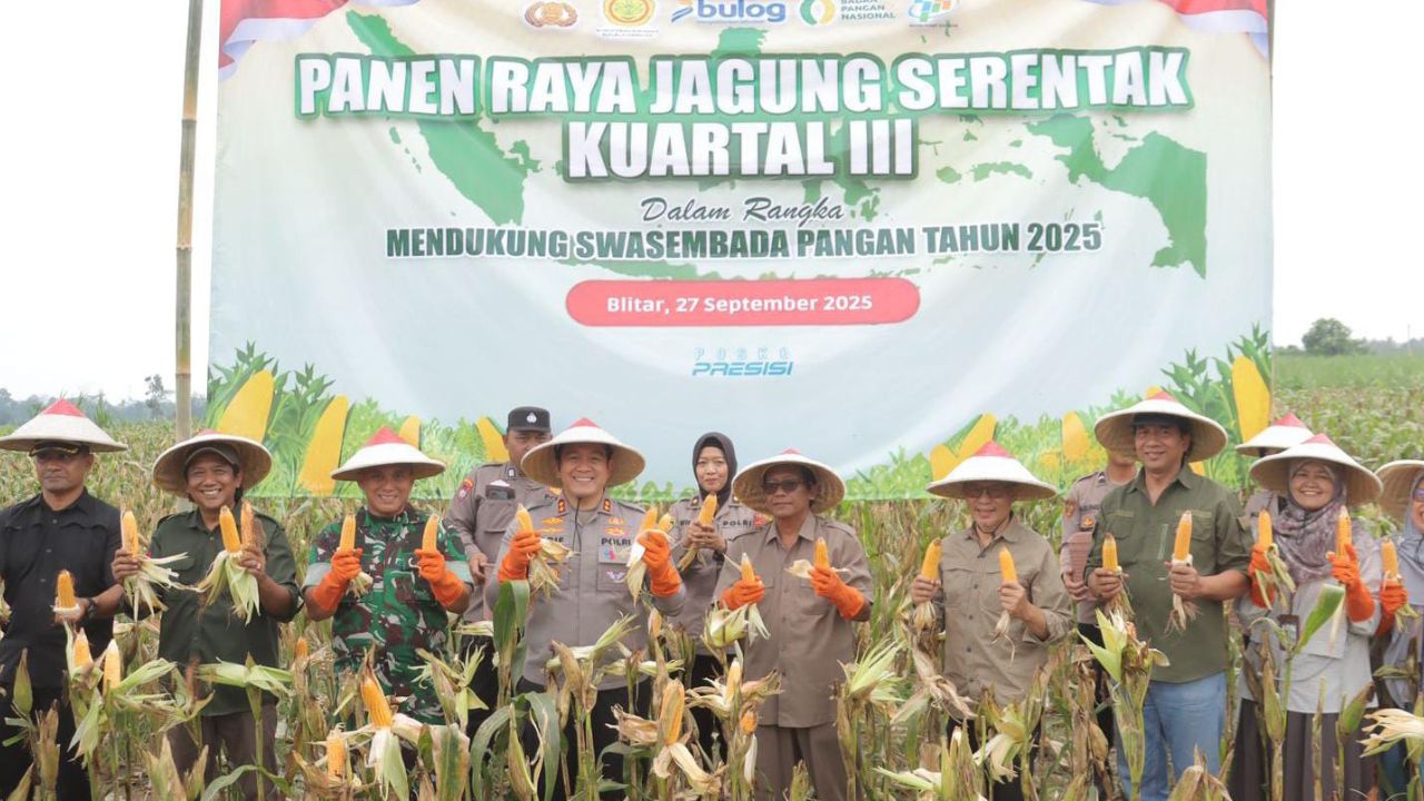 Polres Blitar Panen Raya 34 Ton Jagung, Buktikan Polisi Jago Cangkul dan Pistol