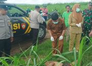 Warga Blitar Geger! Jenazah Pria Tak Dikenal Ditemukan di Bawah Pohon Pete Lahan Perhutani