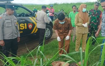 Warga Blitar Geger! Jenazah Pria Tak Dikenal Ditemukan di Bawah Pohon Pete Lahan Perhutani