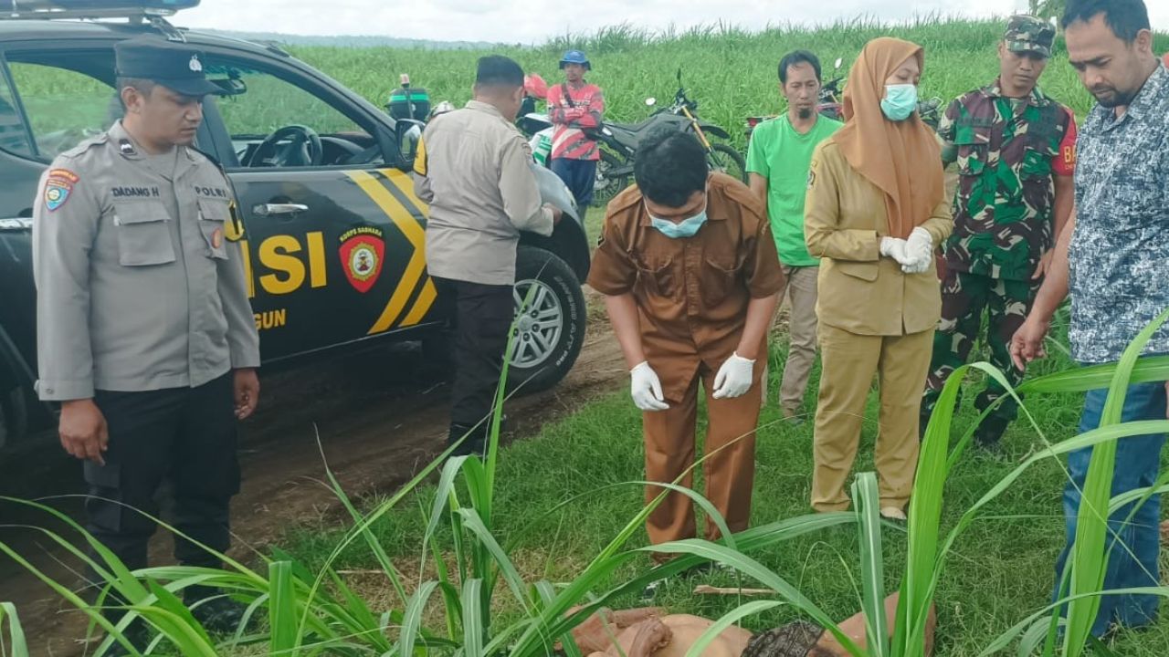 Warga Blitar Geger! Jenazah Pria Tak Dikenal Ditemukan di Bawah Pohon Pete Lahan Perhutani