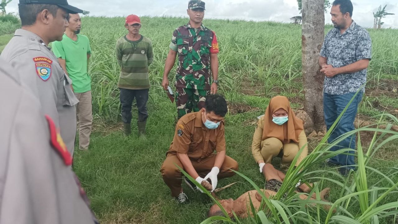 Polres Blitar Selidiki Kematian Pria 70 Tahun di Lahan Tebu Binangun, Diduga Gelandangan
