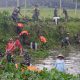 Kodim Purworejo Pimpin Gotong Royong Bersihkan Sungai Lereng Sambut HUT TNI ke-80