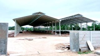 Keberadaan Pabrik Kayu Lapis di Kemiri Klaten Bakal Serap Ribuan Tenaga Kerja, Ekonomi Warga Meningkat