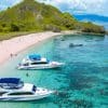 Marine Tourism di Labuan Bajo: Snorkeling dan Island Hopping di Taman Nasional Komodo